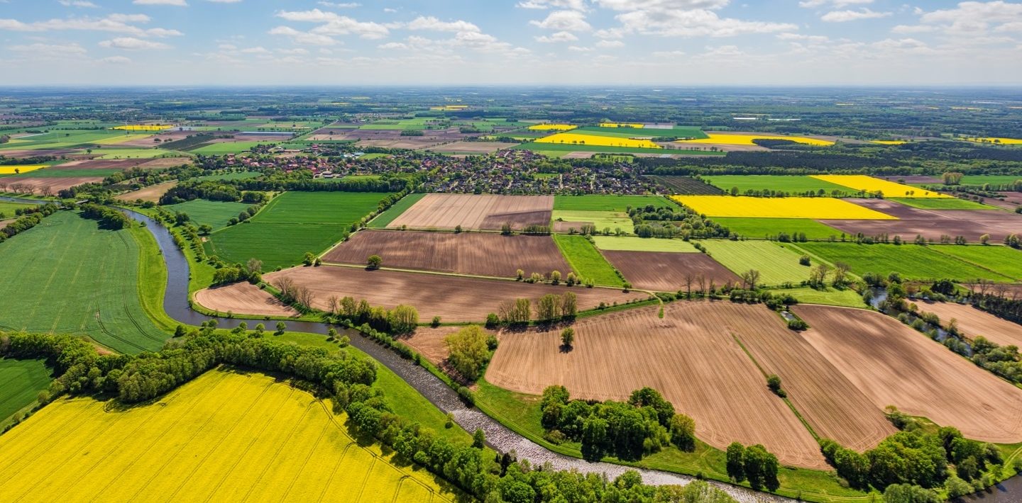 Naturaufnahme vom Oldenburger Münsterland