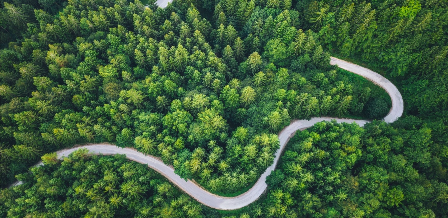 Luftaufnahme einer Straße die durch einen Wald führt