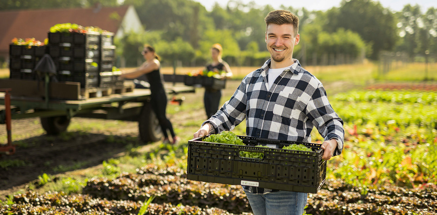 Mann auf einem landwirtschaftlichen Feld mit Mehrwegtransportverpackung Kiste in der Hand und Ladungsträgern im Hintergrund