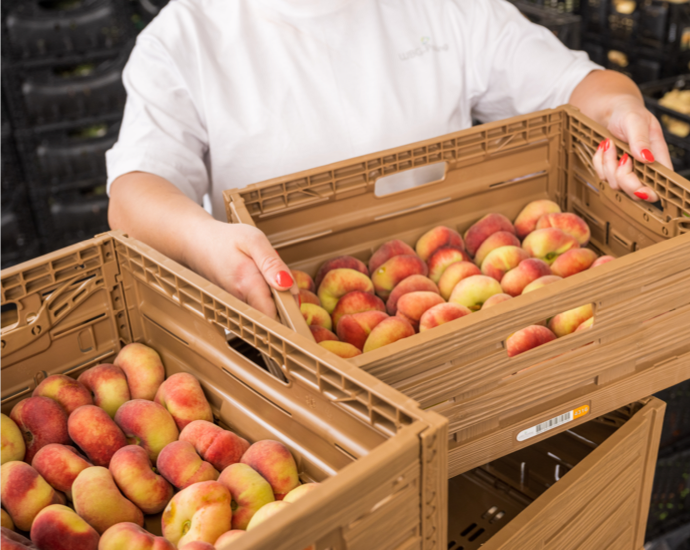 Mehrwegtransportverpackungen E-Kisten befüllt mit Obst